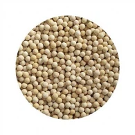 كرة سيراميك فيتامين ج لفلتر الاستحمام